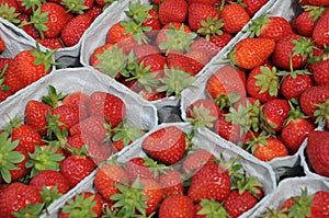 Home grow strawberry fruit on sale in Copenhagen Denmark