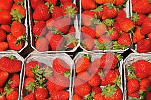 Home grow strawberry fruit on sale in Copenhagen Denmark