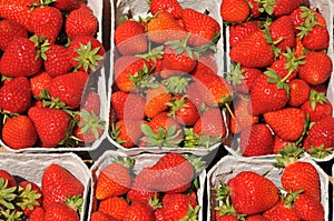 Home grow strawberry fruit on sale in Copenhagen Denmark