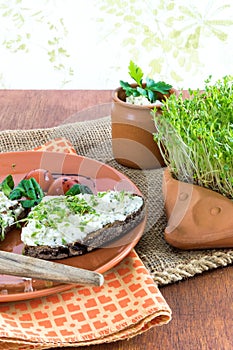 Home-grown garden cress as healthy vitamin supplier