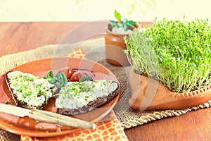 Home-grown garden cress as healthy vitamin supplier