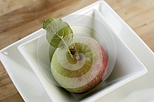 Home Grown Organic Apple