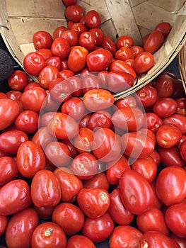 Home Grown Tomatoes