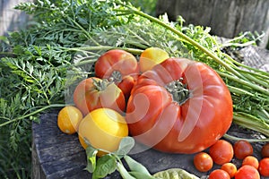 Home grown vegetables