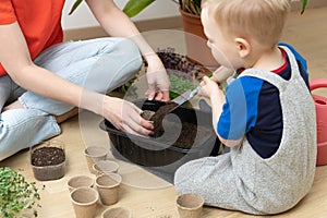 Home hobbies gardening. Young mother teaching son botany by pooring soil in pots for seeds