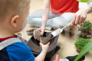 Home hobbies planting seeds. Young mother and son preparing soil by pooring dirt in to small pots. Spring time activities