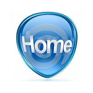 home icon blue.