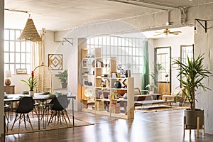 Home indoors. Open space with living room and dining room in bright industrial loft with green plants.