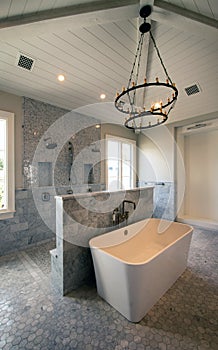 Home interior bathroom showers and tub