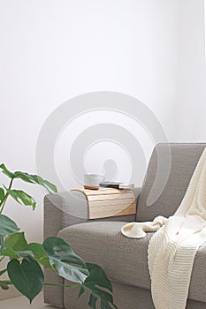 Home interior Cozy Living room Sofa Coffee mug Knitted plaid Boo