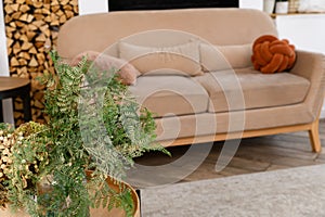 Home interior decor. Coffee table with vases of dried flowers on the background of the sofa