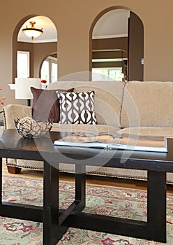 Home in interior sofa and coffee table details.