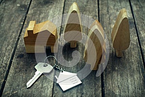 Home key with house keychain and wooden tree and home mockup on vintage wood background, property concept