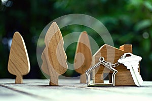 Home key with house keychain and wooden treen and home mock up on vintage wood background, property concept