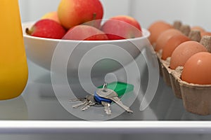 Home keys left inside a fridge