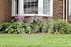 Home Landscaping photo