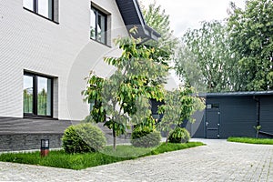 Home Landscaping.  House with plants and granite paving stones.