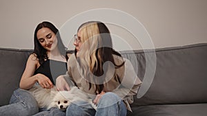 Home leisure in a women's circle. Meeting of friends in a modern city apartment with a pet.