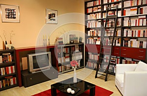 Home library 2