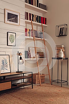 Home library interior with modern furniture and collection of different books on shelves