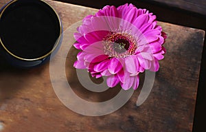 Home life and comfort. Cup of coffee, gerbera, table cover.