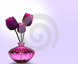 Home life and comfort. Glass vase with a bouquet of tulips.