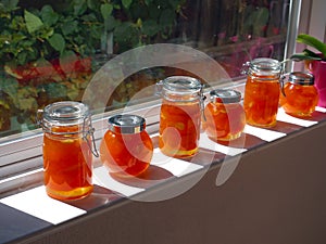 Home made apricot jam