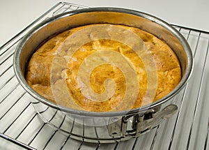 Home made baked cake in a springform