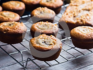 Home made banana muffins. Closeup