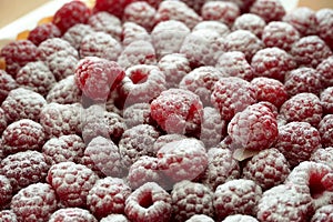 A home made cake thickly covered with raspberries decorated with powder sugar. photo
