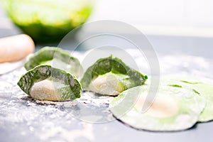 Home made Chinese dumplings