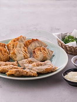 Home made chinese and korean fried chicken dumplings