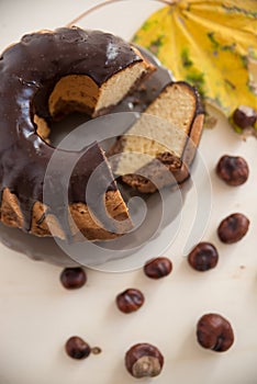 Chocolate Peanut Butter Sponge Cake