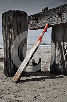 Home made cricket bat on the beach