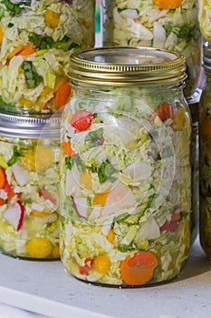 Home made cultured or fermented vegetables