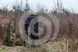 Home-made, drum pheasant feeder