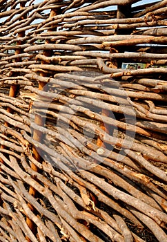 Home-made fence against predators in Zimbabwe