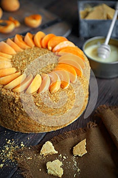 Home made honey cake with apricots on a wooden dark background