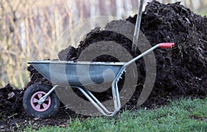 Home manure fertilizer for vegetable garden photo