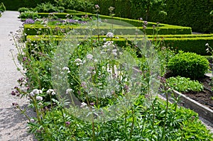 Home medicinal garden with herbs for rheumatic, digestion, rhubarb for cake, for drying tea and aromatic herbs for alcoholic lique