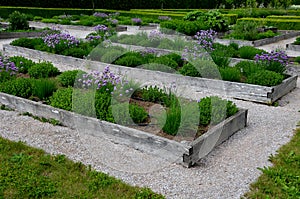 Home medicinal garden with herbs for rheumatic, digestion, rhubarb for cake, for drying tea and aromatic herbs for alcoholic lique