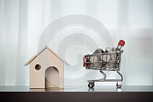 Home and money in the shopping basket on wooden table