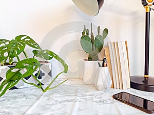 Home office desk with indoor plants such as a cactus and stationery on a white background, creating a relaxing work environment