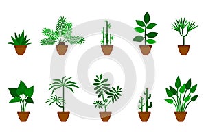 Home, office flowers vector icon illustration set. Green plants in brown clay pots flat style design collection on white