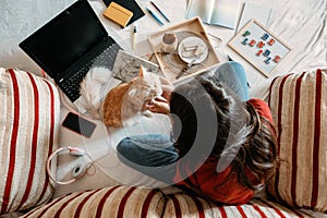 Home office, work space, work from home concept. Young woman with laptop and cat working at sofa. Flexible work hours