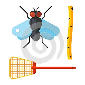 Home pest control expert vermin exterminator service insect thrips equipment flycatcher flytrap vector illustration.