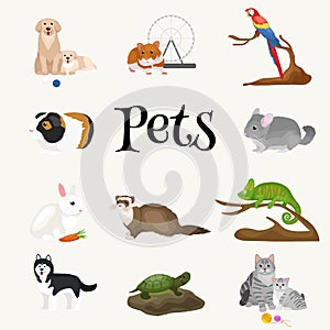 Home pets set, cat dog parrot goldfish hamster, domesticated animals