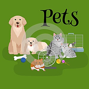 Home pets set, cat dog parrot goldfish hamster, domesticated animals