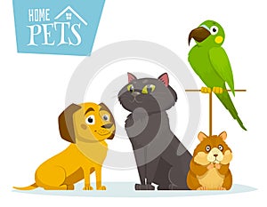 Home pets sitting in line, on white, vector cartoon illustration