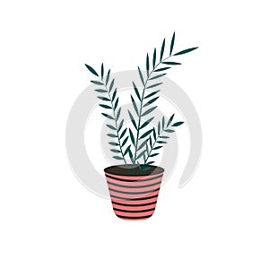Home plant in flowerpot isolated on white background in flat style.